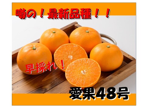 農家のつまみ食い　愛果48号(別名 紅ぷりんせす) ハヤドレ(早採れ)　約３キロ