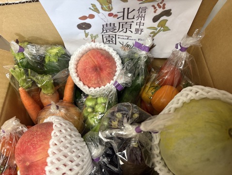 原画　夏野菜3枚セット 野菜 夏野菜 セット 10種 程度 詰め合わせ 高地野菜 栽培期間中