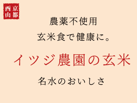 【令和6年新米】コシヒカリ・玄米（5kg）【自然栽培　栽培期間中　農薬・肥料不使用】