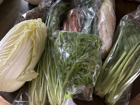 旬の野菜セット７～8品【栽培期間中農薬・化学肥料不使用】