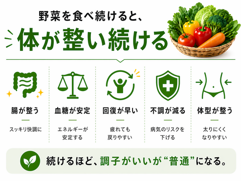 【6月限定3セット　500円引き　60サイズ】神奈川県産　茎ブロッコリー（スティックセニョール）