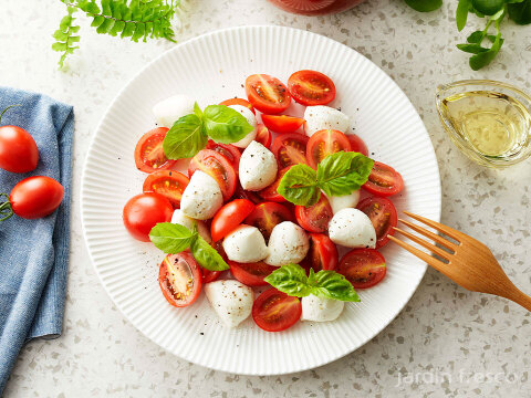 シュガープラム4kg 糖度10度以上の高リコピン(13mg)極甘・完熟・高糖度ミニトマト　ジューシーな甘さがクセになる(300005)