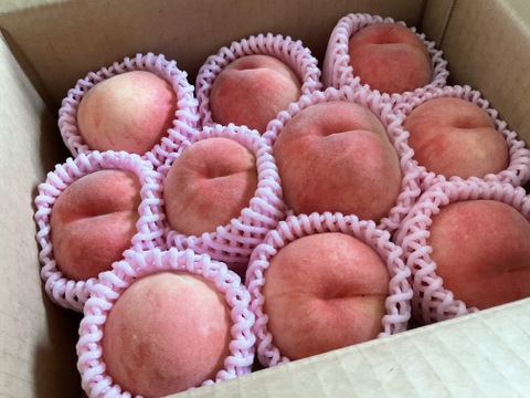 あかつき　2kg　ご家庭用　山形県産　9〜15玉入