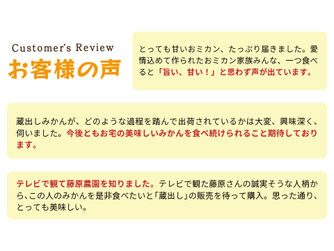 蔵出しみかん早生5kg｜和歌山県海南市下津町の特産品、蔵出しみかんの希少な早生品種