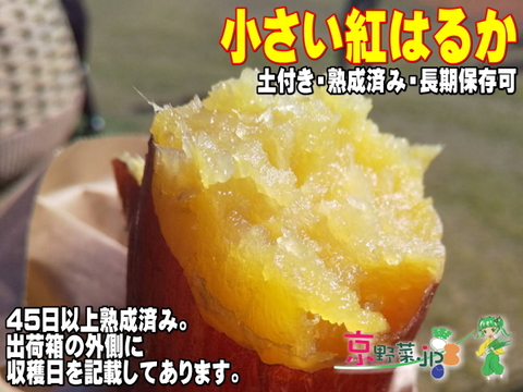 小さい紅はるか(京都産) ひとつ80～150g