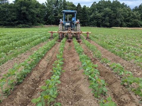 北海道ニセコ　自然栽培　天穀大豆400gｘ2袋　ジッパー付真空パックでお届け　2025年産