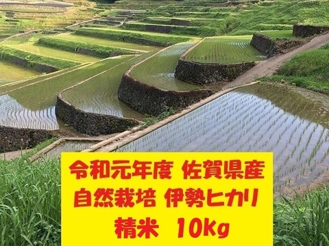 【令和元年新米】無農薬!自然栽培!佐賀県産!「伊勢ヒカリ」精米10kg