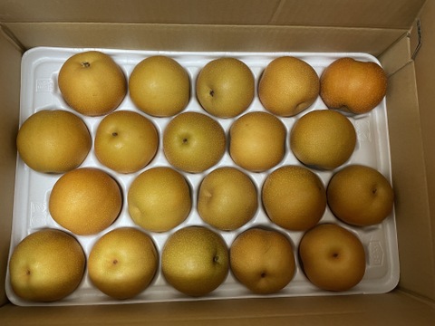小さいけど甘味はしっかり：豊水梨（家庭用）小玉 Ⅿサイズ　約5kg(20玉)