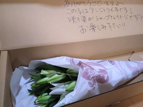 【秋彼岸含みます】簡易包装■ペトロネラ3本束■~純白で花弁がとてもしっかりしています！！グリーンの筋も入っていて清涼感があります(^^)