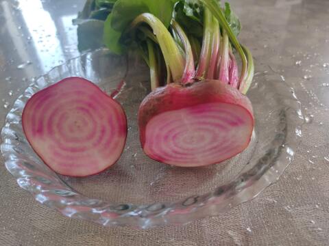 🌱収穫そのままお届け！畑直送！「食べる輸血」採れたて葉付きビーツ1〜2種セット約1.5kg🌱｜畑の鮮度そのまま✨｜農薬・化成肥料不使用｜✨