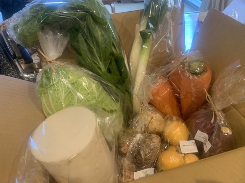 自然栽培野菜Mセット7～9種類