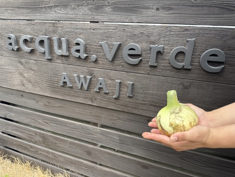 旬だよ！淡路島産新玉ねぎ(5㎏)