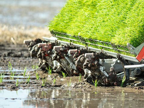 新潟県産米粉のミルクパンケーキミックス200g