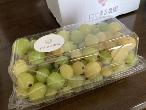 【規格外】山梨県産シャインマスカット　粒売り2kg以上(1kg×2箱)