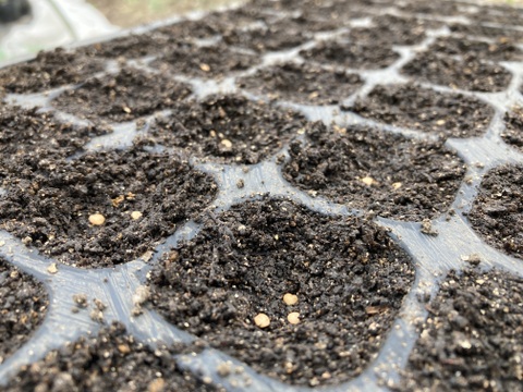 新鮮！旬の野菜セット【Lサイズ : 約7～8kg】【15品目】農薬・化学肥料不使用