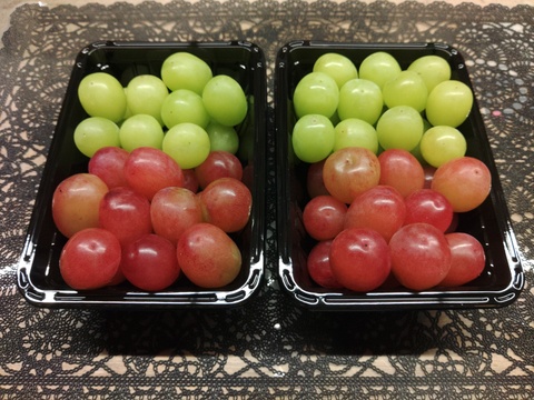 ◆◆注目◆◆
あのシャインマスカットの子供、長野県限定栽培のクイーンルージュ®️と親のシャインマスカット　豪華親子共演！
◆粒パック◆【クイーンルージュ®・シャインマスカット】ぶどう2品種 親子セット