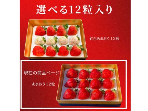 極上あまおう400ｇ　～ベロアギフトボックス～【冬ギフト】