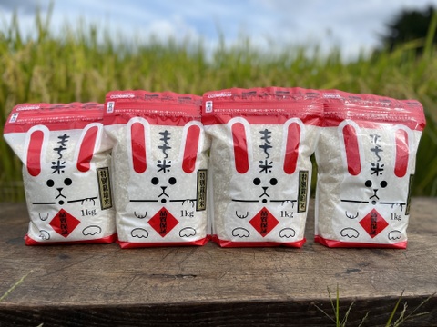 令和5年産　もち米　1㎏×4袋　特別栽培米ヒメノモチ