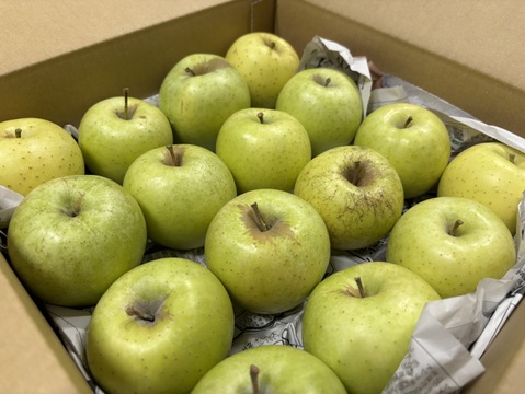 在庫限り【王林・おうりん】小玉3.5kg(16玉)バラ詰め🍎青りんごといえばこのりんご🍏