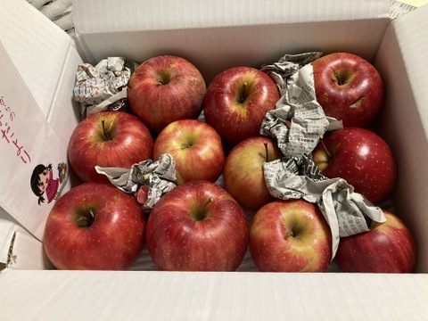 まるせい果樹園のりんご　訳あり　おまかせ　3kg　自家用　加工用　(6～15玉入り)　玉数指定不可 or2