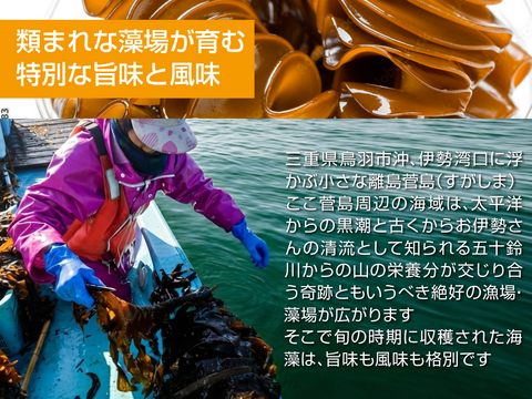産地厳選！【産地直送】えんぞうわかめ100ｇ3パック　 伊勢志摩産　鳥羽市の離島・菅島沿岸で収穫！　人気のおみやげ