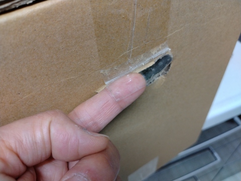 ★★初夏の甘うまセット★★（淡路島玉ねぎ2.5kg+ホワイトコーン5本）とうもろこし　トウモロコシ