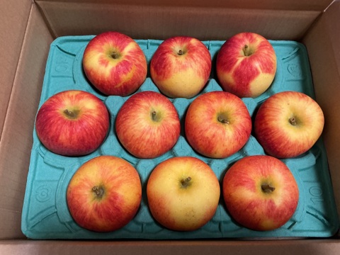 【今年から販売開始🍎】江刺ロマン 3キロ箱 6玉〜15玉サイズ 商品ID11618 長野県 信州 安曇野 リンゴ 幻 幻のリンゴ 予約 希少 旬 えさしロマン