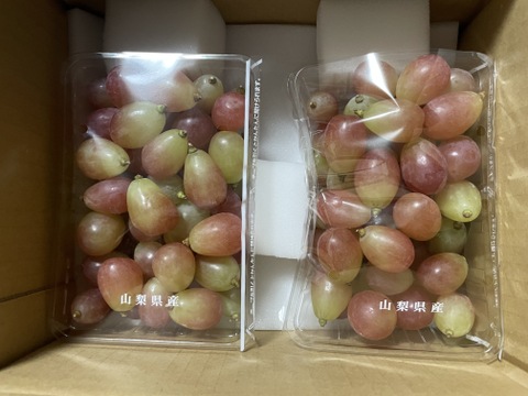 お試し価格1000円値引き【サンシャインレッド】ご家庭用(訳あり品) 粒