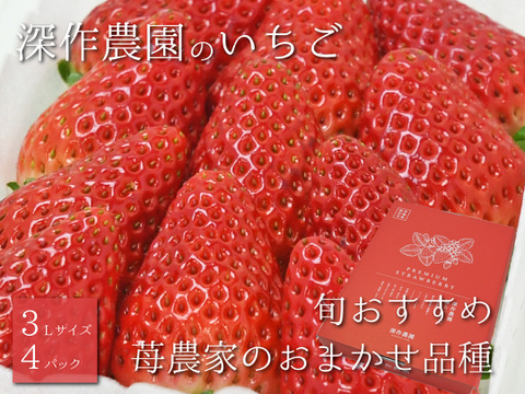 茨城いちごグランプリ3年連続受賞！　いちご農家おすすめの旬のいちご　 いちご（苺・イチゴ）【3L×4パック】