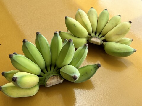 もちっと　とろける甘さアップルバナナ　2㎏