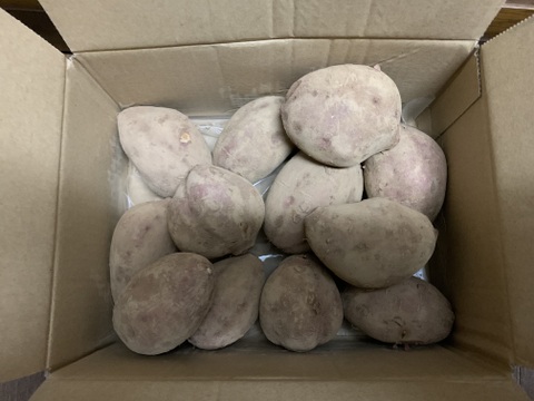 発送中🍠もはやスイーツ！ねっとり甘い安納芋Lサイズ２KG 焼き芋にピッタリ！五島の海水を使って育てました！農薬/化学肥料不使用 サツマイモ/さつまいも