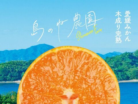 せとか 島のね農園【愛媛せとか/木成り完熟/5kg】