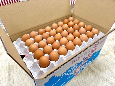 20箱限定!!国産鶏種もみじの元旦初産み新鮮たまご150個+割れ補償20個入り