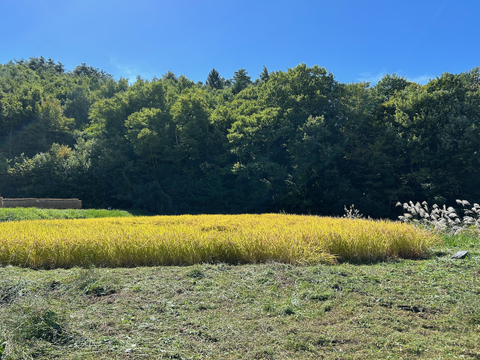 【新米】あきたこまち 10kg