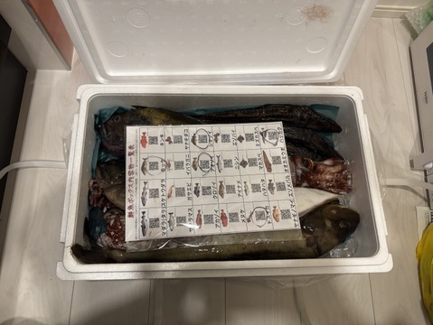 竹コース【知床らうす直送】船頭にお任せ！鮮魚ボックス（詰め合わせ) 海鮮セット