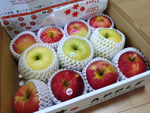 農薬半減・化学肥料不使用の特別栽培りんご3種食べ比べ🍎🍏 訳ありご家庭用 おまかせ3kg 青森県特別栽培認証取得 詰め合わせ　りんご食べ比べ