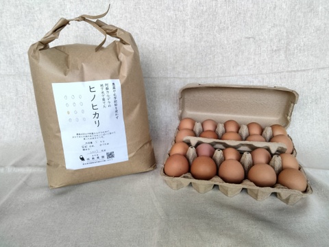 農薬不使用のお米と平飼い卵の『卵かけご飯セット』白米3kg卵20ケ