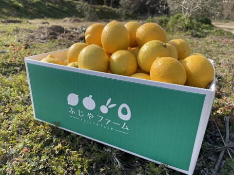 【有機JAS認証】オーガニックレモン5キロ（50個〜60個前後）極上の香りに癒されませんか？「今年もいよいよ始まります！！！」