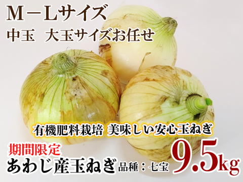 有機肥料栽培 兵庫県淡路産　M-Lサイズ 中玉 大玉サイズおまかせ　新玉ねぎ 9.5kg　品種：七宝　炒めると甘味が増す人気の品種です　ひょうご安心ブランド認定