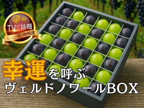 【海外セレブさえも御用達】贈り物に選べば一目置かれる間違いなし！1年で今しか味わえない限定BOX💎敬老の日ギフトに最適！大切な人に贈る古来からの最高の縁起物『ヴェルドノワールBOX』【9月予約】