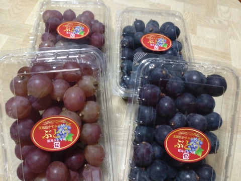 🦺希少品種🍇天候被害SOS🦺　　
　　　　　　　　🌿果汁タップリ🔴紅伊豆🌿　
　　 　　　　　【訳アリ紅伊豆の粒/約450g×2P程度】