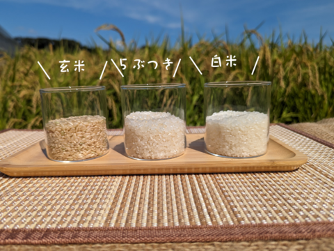 R5:あさひ(朝日)玄米9kg（自然栽培）