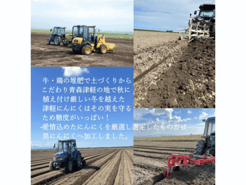 旨みを最大限に引き上げた「津軽黒にんにく」 訳あり 2kg 500g×4 青森県産にんにくを熟成発酵！