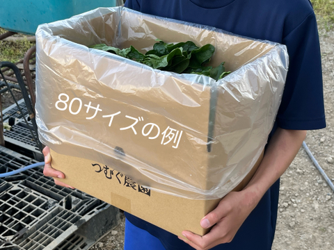 80サイズ詰め放題！[信州産]冬越し露地ちぢみほうれん草