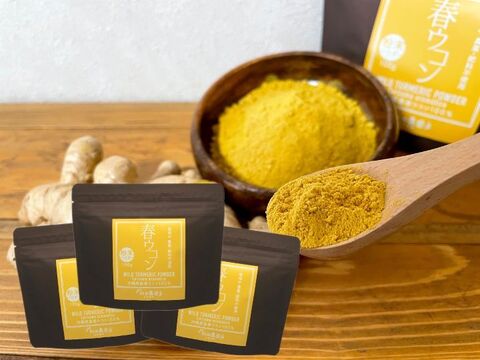 【賞味期限間近セール！】《１００g・３個セット》手軽に健康茶やお料理に！自然栽培 春ウコンパウダー 沖縄県産