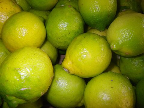 自然農レモン(約1.8kg)　60年以上農薬肥料不使用の畑で栽培　因島産
