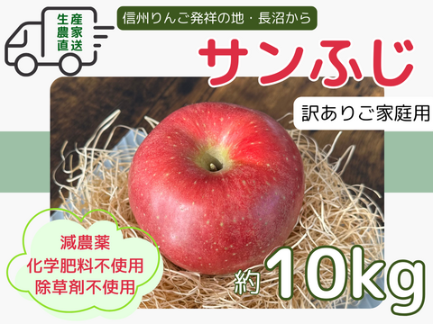 生産農家直送 りんご サンふじ 訳あり 家庭用 10kg 長野県産 信州りんご発祥の地 長沼りんご 産地直送 除草剤不使用 人にやさしく環境にもやさしい農産物