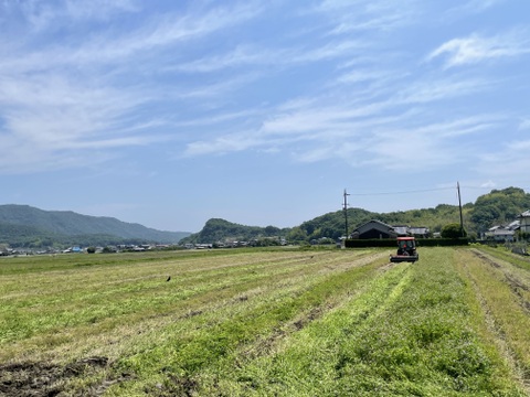 🔵予約販売🔵令和6年産 新米　化学肥料不使用‼️クローバーで育てた幻の米🍀朝日米【極　2.1mm】「特別栽培米」おひさまのかけら（精米後約9kg）　12月13日から発送