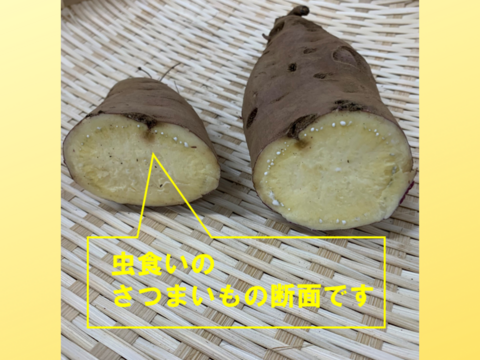 国産【茨城県産】さつまいも べにはるか 3kg 訳あり