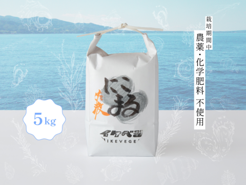 【予約商品】【令和7年新米】大粒にこまる×越後テロワール 新潟県佐渡産 栽培期間中農薬・化学肥料不使用米『にこまる』 玄米5kg